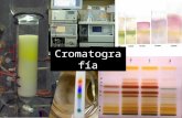 Presentacion cromatografia ambiental