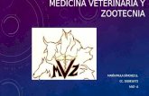 Medicina veterinaria y zootecnia psll