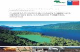 PLANTEAMIENTOS INICIALES SOBRE LOS DERECHOS DEL CARBONO FORESTAL EN CHILE