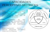 CAPACIDADES PERCEPTIVO MOTRICES (Marta Castañer Balcells, Oleguer Camerino Foguet)
