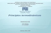 Principios termodinámicos