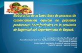 Elaboración de la Línea Base de procesos de comercialización agrícola de pequeños productores hortofrutículas en la provincia de Sugamuci del departamento de Boyacá - Julio