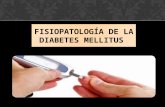 Fisiopatologia Diabetes mellitus