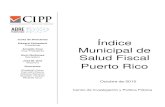 CIPP Report Indice 2013