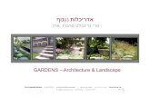Terri-Gardens. portfolio