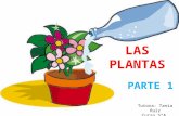 Las plantas  - Parte 2