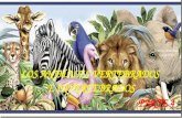 Animales vertebrados e invertebrados - Parte 4