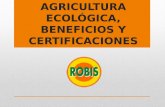 Agricultura ecológica, beneficios y certificaciones