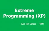 Extreme programming (xp)