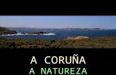 Comarca A Coruña pps