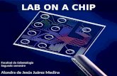 Lab On A Chip