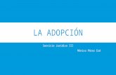 La adopción privilegiada en República Dominicana