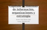 Capítulo 3: Sistemas de información - Raúl López