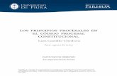 Principios procesales en el codigo procesal constitucional