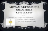 Metamorfosis en Colombia