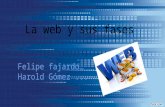 Informatica web