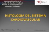 Clase 9 sistema circulatorio