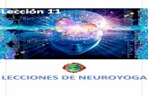 Neuroyoga -  Lección 11 - ¿Qué es la respiración holotrópica.?