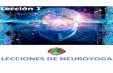 Neuroyoga - Lección 1 - Meditar reprocesa al cerebro