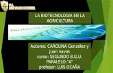 Biotecnologia en la agricultura