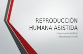 Reproducción humana asistida