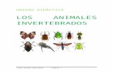 Unidad didáctica final los animales invertebrados jorge