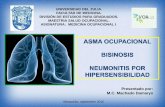 Asma Bisinosis y Neumonitis