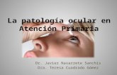 Patología Ocular Frecuente en Atención Primaria (por Javier Navarrete)