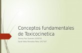 Conceptos fundamentales de toxicocinetica