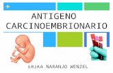 Antigeno carcinoembrionario