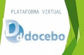 Docebo plataforma virtual