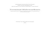 Terminal De Hidrocarburo informe