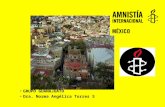 Amnistía internacional México redes de acción