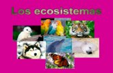 Ecosistemas- Alex, Matías y David