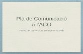 Pla de Comunicació a lACO: fruits darrer curs web