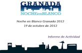 Informe de actividad Noche en Blanco Granada 2013