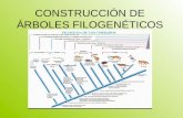 Construcción de árboles filogenéticos