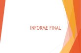 Taller de Escritura: Informe Final - Prácticas 3er Año IFDCVM