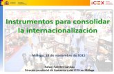 Instrumentos de icex para consolidar la internacionalización. Autor: Rafael Fuentes, icex