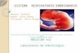 Sistema Respiratorio Embrionario