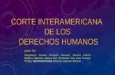 Corte interamericana de los derechos humanos ;703.