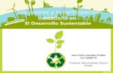 Los valores y la participación ciudadana en el desarrollo sustentable  Por:Juan Pedro González Roldán