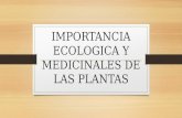 Importancia ecologica y medicinales de las plantas