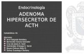 Adenoma hipersecretor de ACTH
