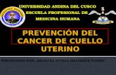 Prevención del cancer de cuello uterino