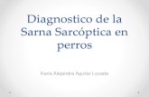 Diagnóstico de Sarna sarcóptica en Perros