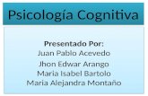 Psicologia cogintiva presentacion diapositivas