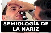 Semiología de la nariz