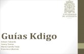 GUIAS KDIGO 2013_ DIAGNOSTICO, PREVENCION Y TRATAMIENTO DE LA ENFERMEDAD RENAL CRÓNICA