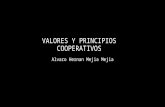 Valores y principios cooperativos
